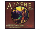 Apache Orange Label - Pomona, CA Posters