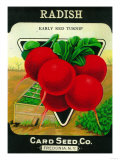 Radish Seed Packet Prints