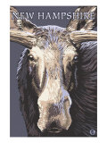 New Hampshire - Moose Up Close Photo