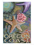 Oregon Coast Tidepool Photo