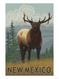 Elk Scene - New Mexico Kunstdrucke
