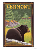 Vermont - Black Bear in Forest Posters