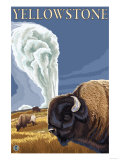 Yellowstone - Bison with Old Faithful Prints
