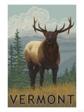 Vermont - Elk Scene Photo