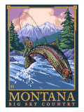 Montana -- Big Sky Country - Fly Fishing Scene Posters