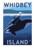 Whidbey Island, Washington - Orca and Calf Prints