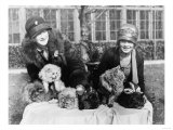 Women with their Persian Cats at Cat Show Photograph - Washington, DC Prints