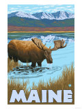 Maine - Moose Drinking in Lake Posters
