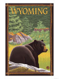 Black Bear in Forest - Wyoming Pósters