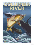 Columbia River, Oregon - Cutthroat Trout Cross-Section Photo