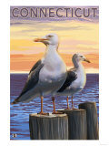 Connecticut - Sea Gulls Scene Prints