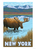 New York - Moose Drinking in Lake Posters