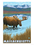 Massachusetts - Moose Drinking in Lake Photo