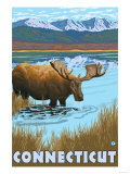 Connecticut - Moose Drinking in Lake Posters