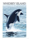 Whidbey Island, Washington - Orca Jumping Prints