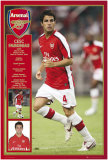 Arsenal - Fabregas Prints