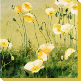In the Midday Sun Stretched Canvas Print by Shirley Novak
