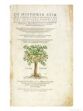 De Historia Stirpium Commentarii Insignes, by Leonard Fuchs Giclee Print by Heinrich Fullmaurer