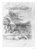 The Comet Discovered and Observed by Johannes Hevelius, 3rd February to 28th March 1661 Giclee Print by Johann Hevelius