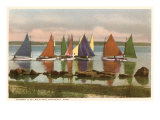 Rainbow Fleet, Nantucket, Mass. Lámina giclée Rainbow Fleet, Nantucket, Mass. Lámina giclée