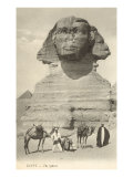 Sphinx, Giza, Egypt Lámina giclée Sphinx, Giza, Egypt Lámina giclée
