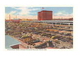 Union Stockyards, Omaha,  Nebraska Lámina giclée