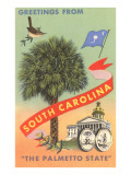 Greetings from South Carolina, The Palmetto State Lámina giclée Greetings from South Carolina, The Palmetto State Lámina giclée