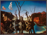 Swans Reflecting Elephants, c.1937 Framed Canvas Print by Salvador Dalí