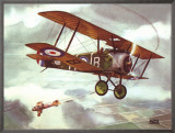 Sopwith Camel, 1917 Framed Canvas Print by Alfred Owles