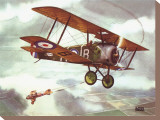 Sopwith Camel, 1917 Stretched Canvas Print by Alfred Owles