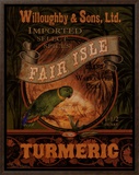 Turmeric Framed Canvas Print by Pamela Gladding