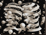 Bond of Union Stretched Canvas Print by M. C. Escher