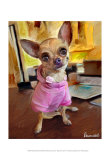 Chihuahua Bella Posters by Robert Mcclintock