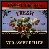 Fresh Strawberries Framed Canvas Print by Kimberly Poloson