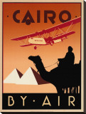 Cairo by Air Stretched Canvas Print by Brian James