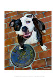 Happy Staffie Prints by Robert Mcclintock