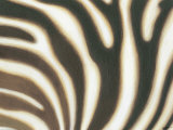 Stripes I Prints by Norman Wyatt Jr.