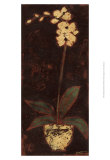 Gilded Orchid II Affiches par Norman Wyatt Jr.