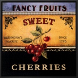 Sweet Cherries Framed Canvas Print by Kimberly Poloson