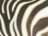 Stripes II Posters by Norman Wyatt Jr.