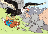 Tintin and the Condor Kunst von Hergé (Georges Rémi) 