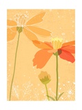 Poppies in Orange Posters