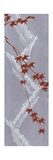 Vertical Red Leaf and White Fence Pattern Photo