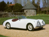 1954 Jaguar XK120 Photographie
