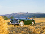 1961 Austin Healey 3000 Mk1 Photographie