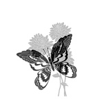 Greyscale Print of Butterfly on Flowers Juliste Greyscale Print of Butterfly on Flowers Juliste