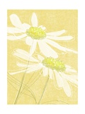 Daisies in Gold Posters