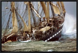 Belem Framed Canvas Print by Philip Plisson Belem Framed Canvas Print by Philip Plisson
