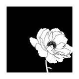 Black and White Print with Large White Flower Posters