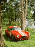 1964 AC Cobra Le Mans Photographic Print